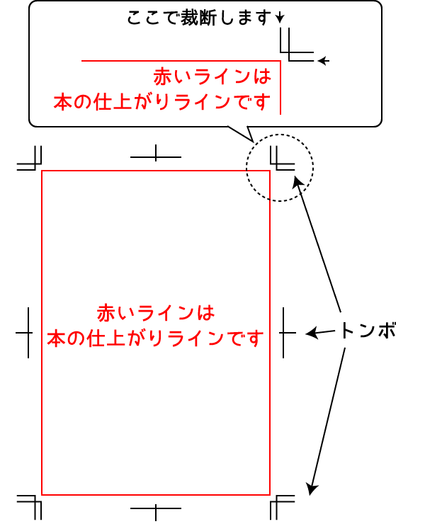 トンボについて